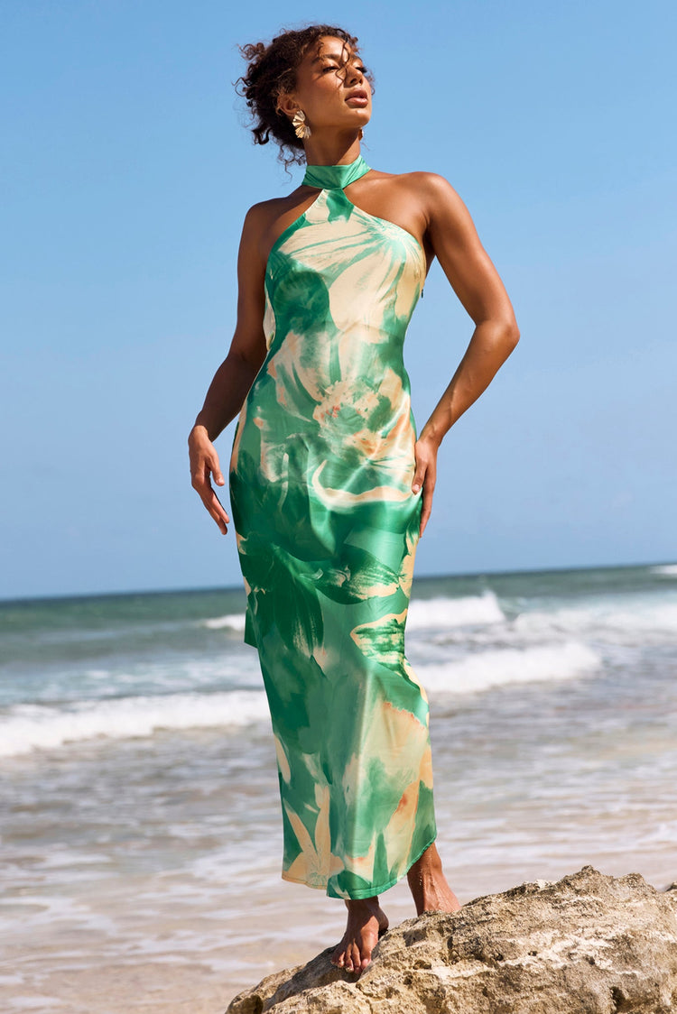 On The Dance Floor Maxi Dress - Green Multi